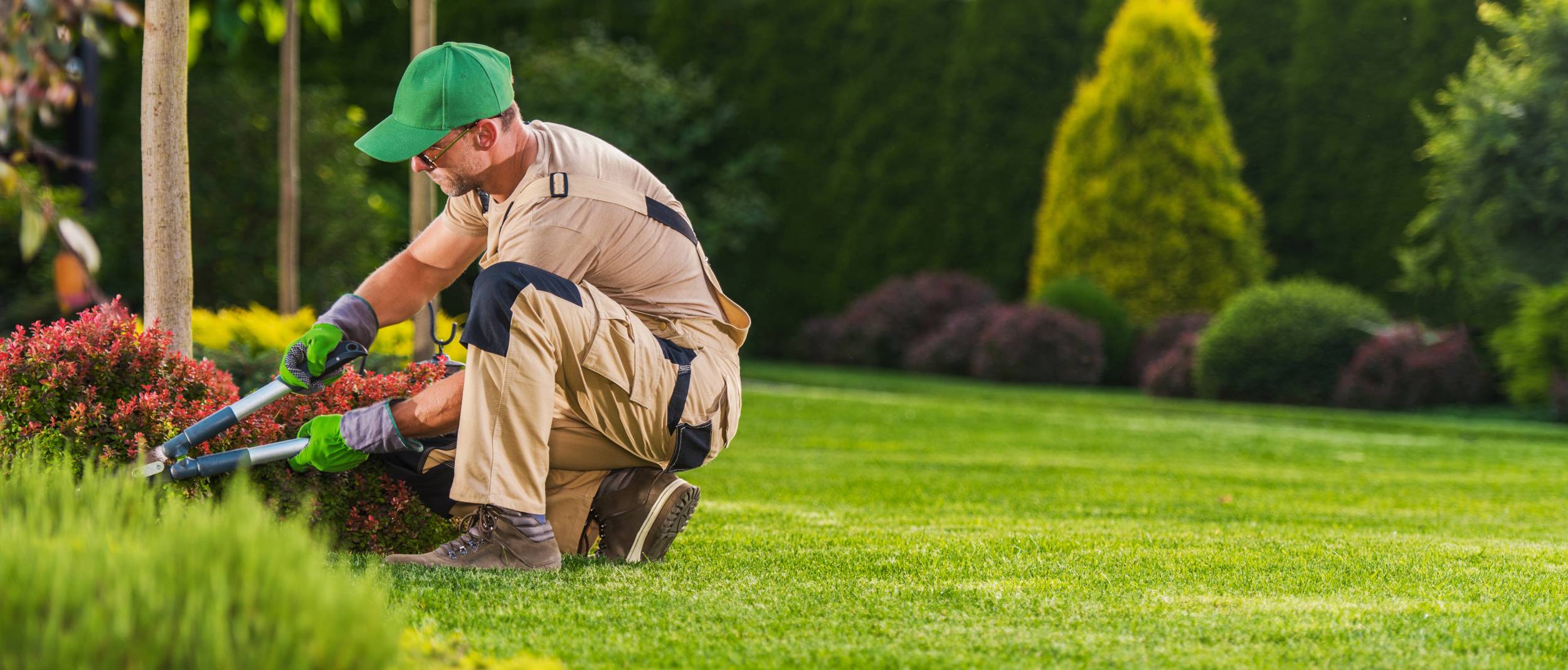 Guide de prix entretien jardin