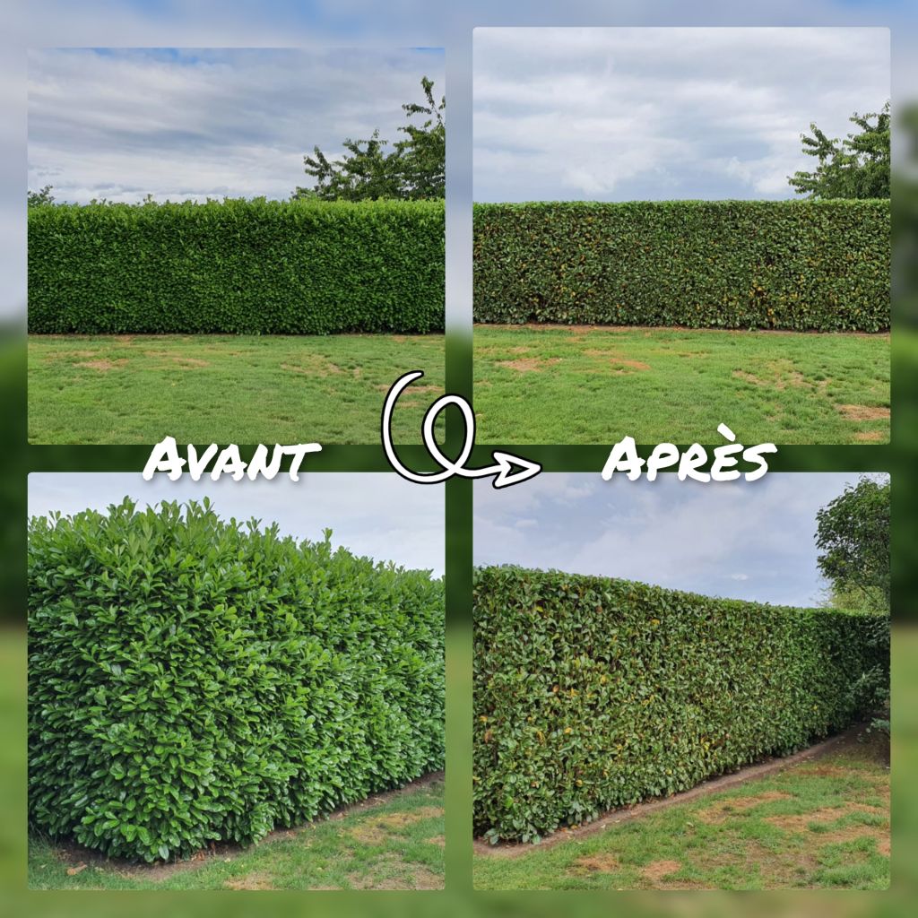 Photo de MH ESPACES VERTS