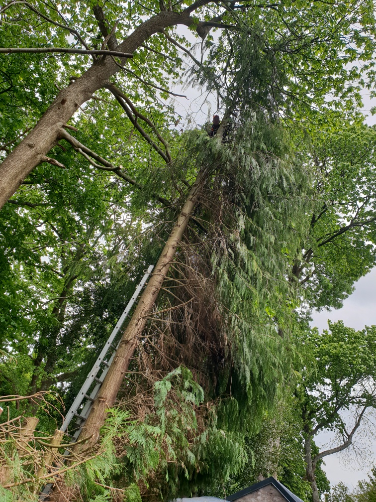 Photo de M. JEAN DIELH