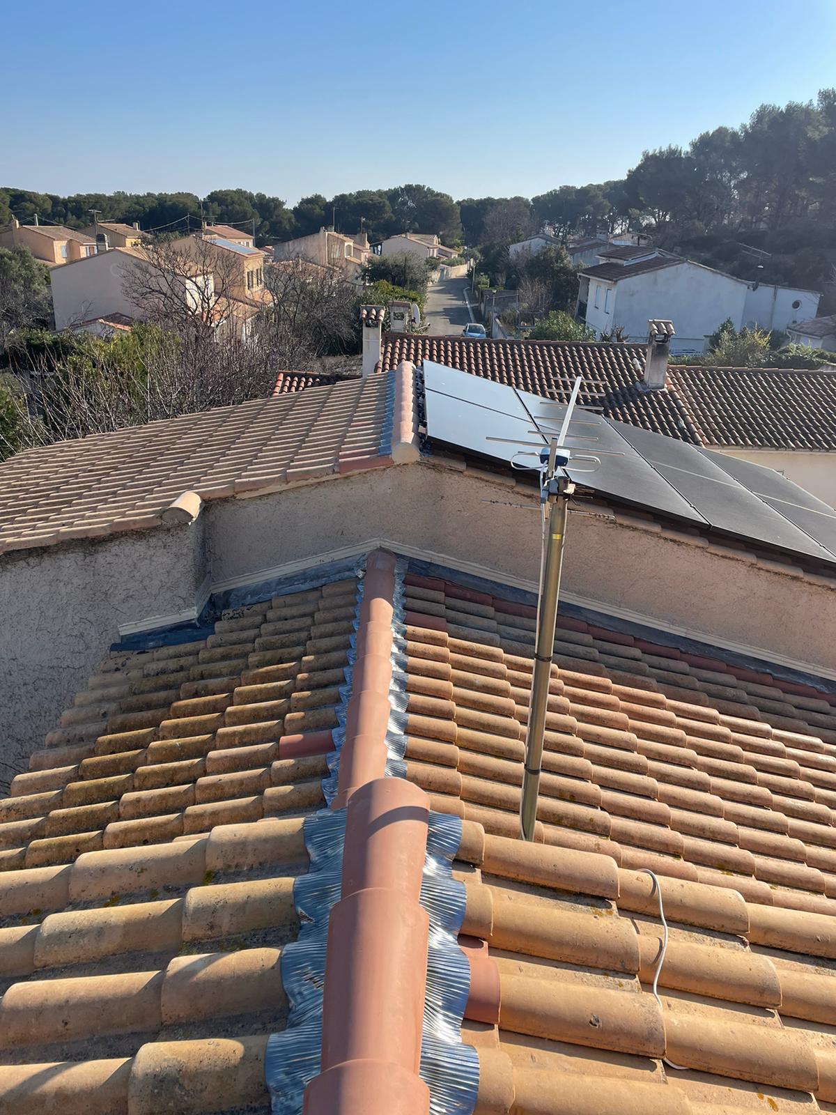Photo de PAULO CLEMENT