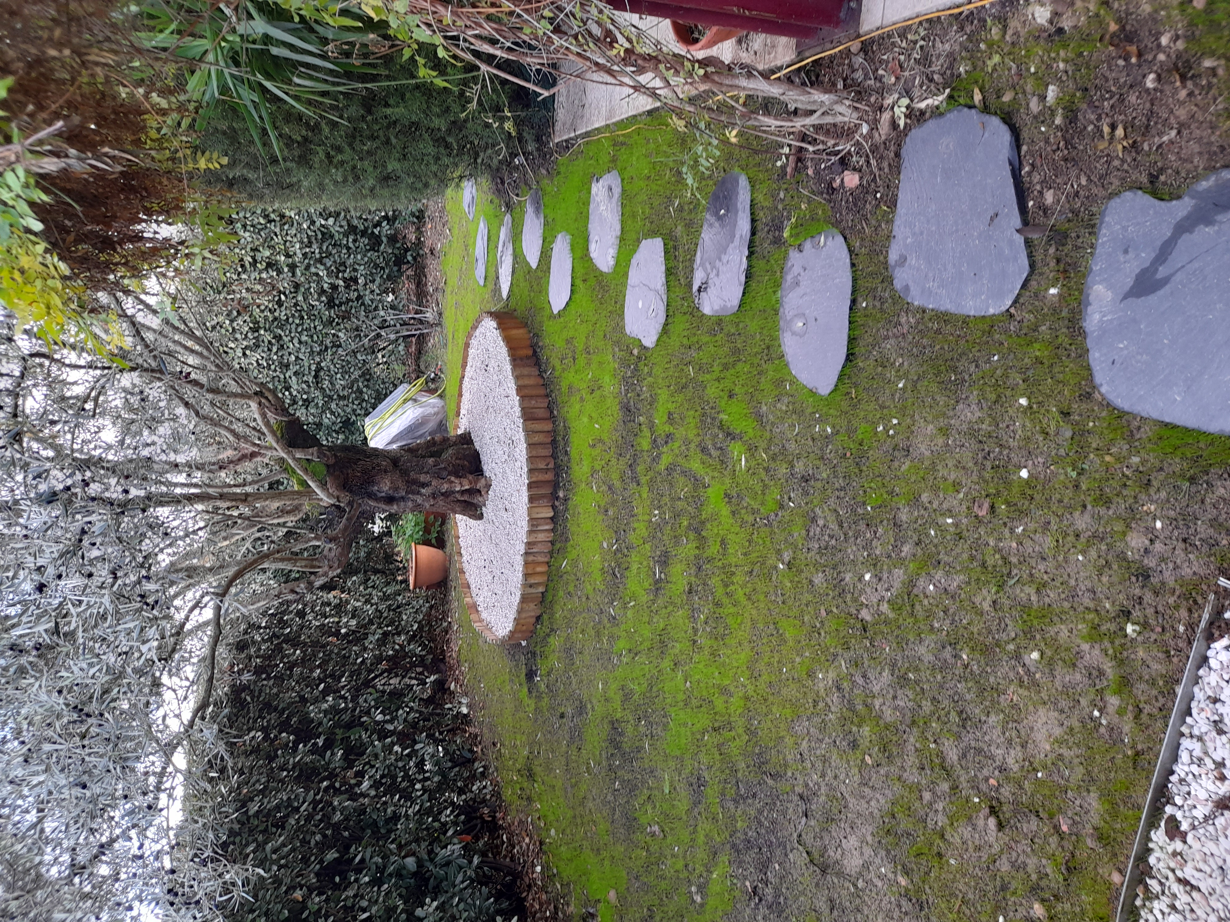 Photo de LES COULEURS DU JARDIN