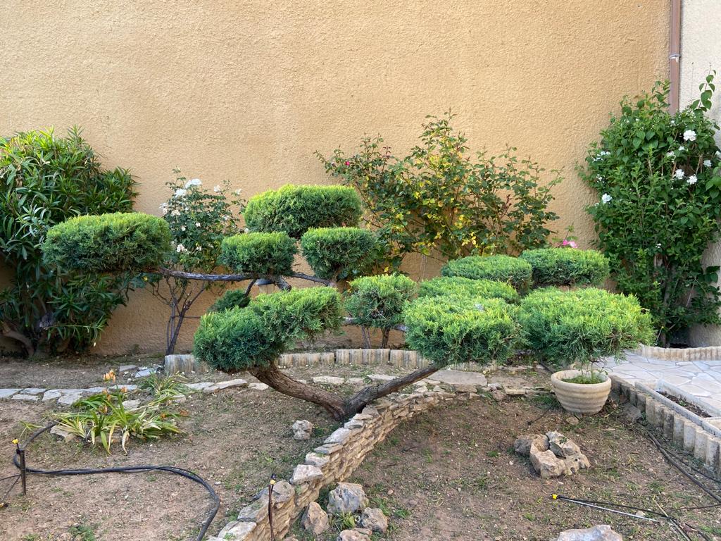 Photo de Marchetti Espaces Verts